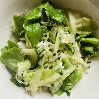 サラダ菜ときゅうりのグリーンサラダ